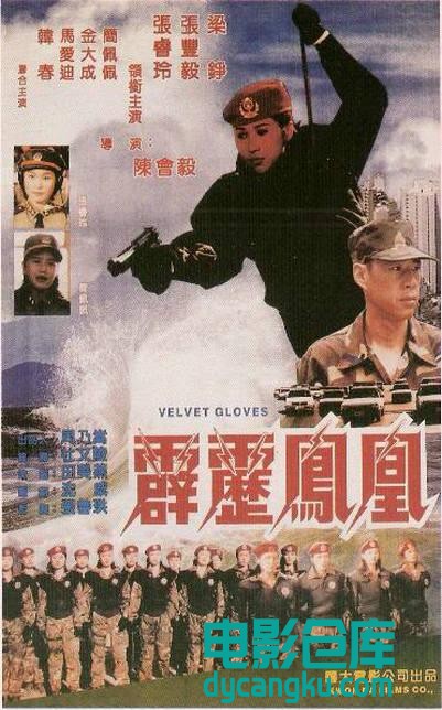 霹雳凤凰1996.jpg