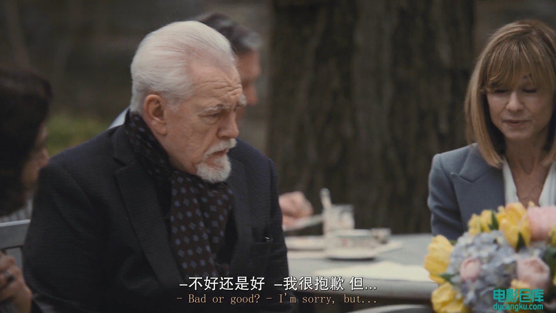 继承之战Succession.S02E05.Tern.Haven.1080p.HD中英双字[电影仓库dycangku.com].mp4_.jpg