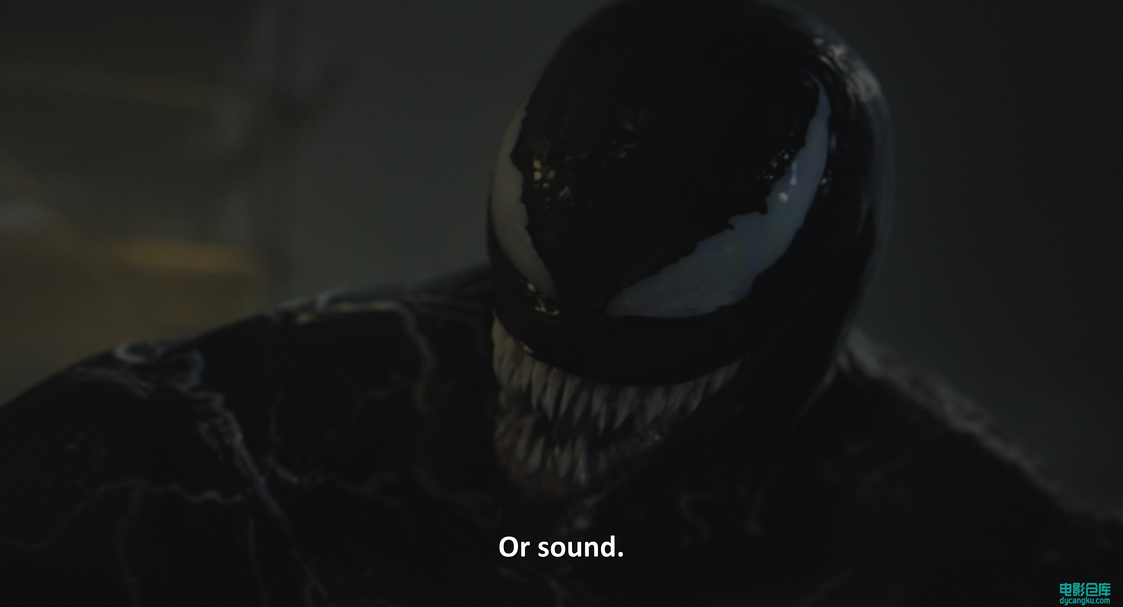 [电影仓库dycangku.com]毒液2 4K.Venom.Let.There.Be.Carnage.2021.2160p.WEB-DL.x265.jpg