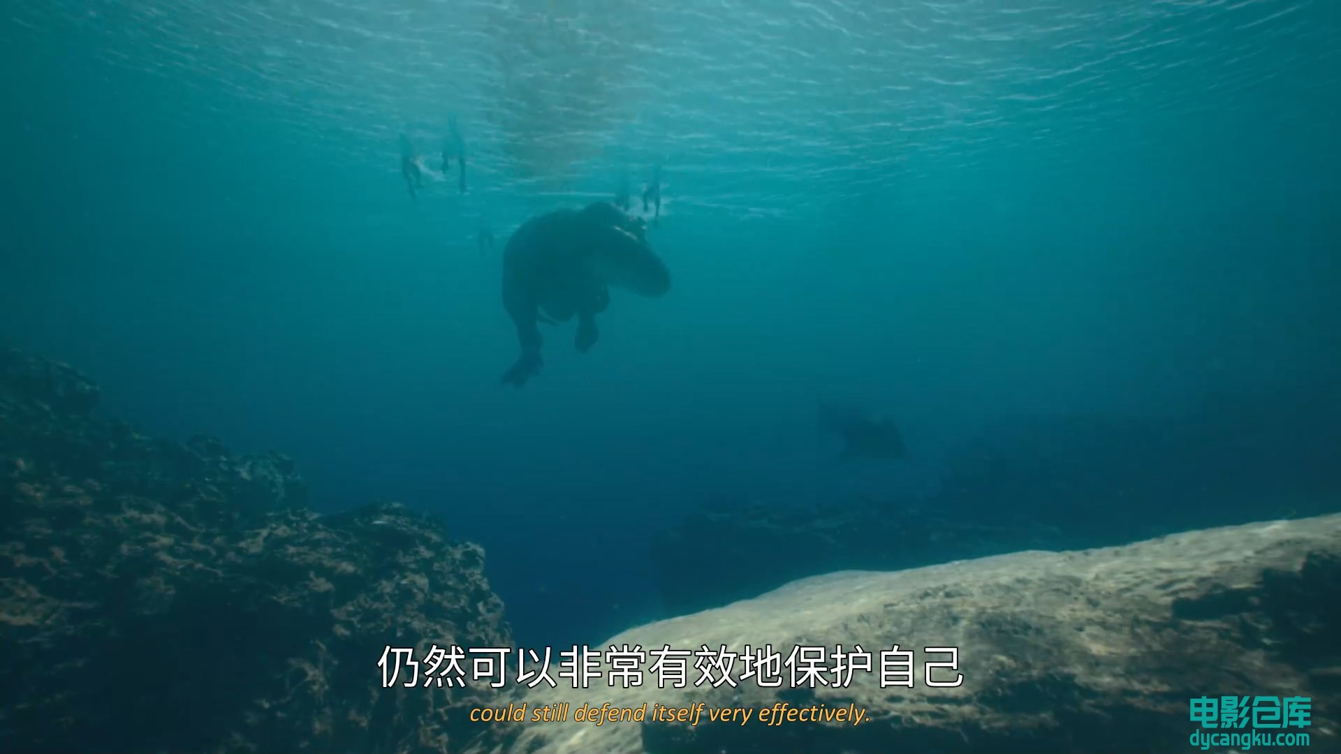 [电影仓库dycangku.com]史前星球E01.HD1080P.中英双字.mp4_snapshot_04.38.196.jpg