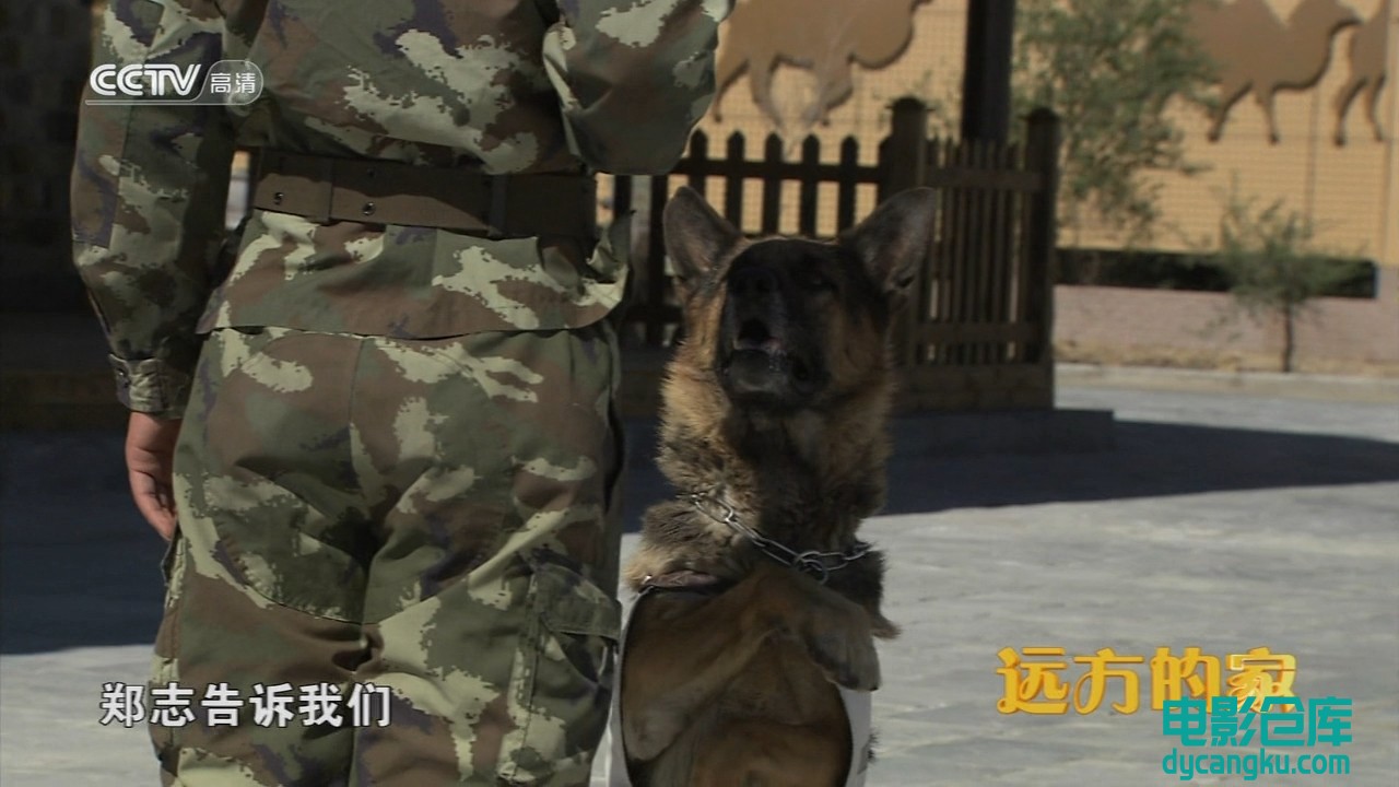 [电影仓库dycangku.com]CCTV.Bian.Jiang.Xing.E83.720p.HDTV.x264-NGB.mkv_snapshot_1.jpg