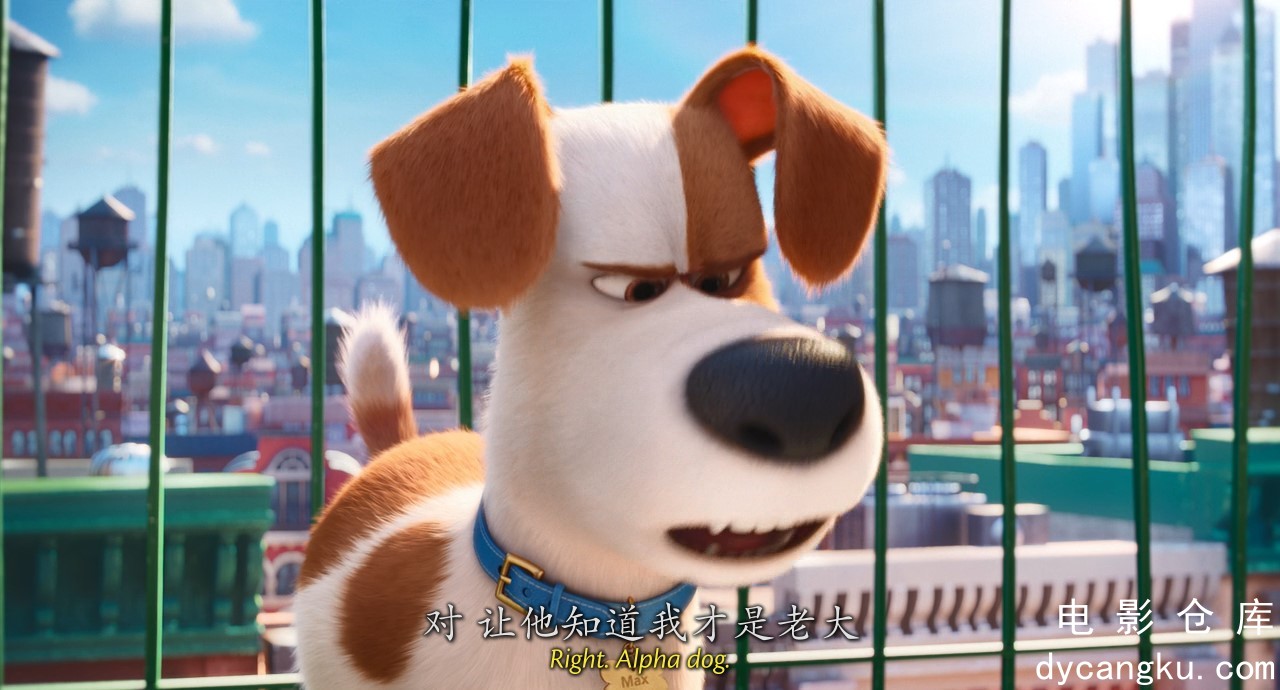 [电影仓库dycangku.com][爱宠大机密].The.Secret.Life.of.Pets.2016.BluRay.720p.x264.jpg