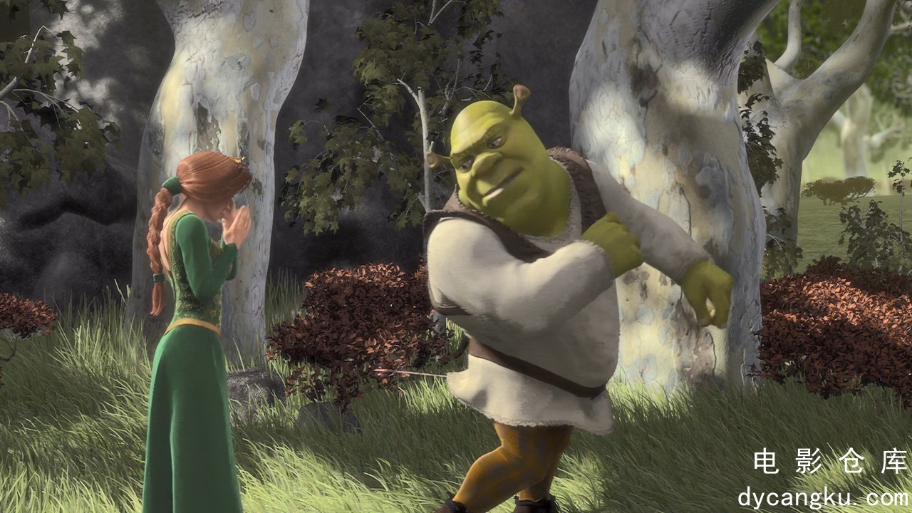 [电影仓库dycangku.com][怪物史莱克].Shrek.2001.BluRay.720p.x264.AC3.3Audios.mkv_s.jpg