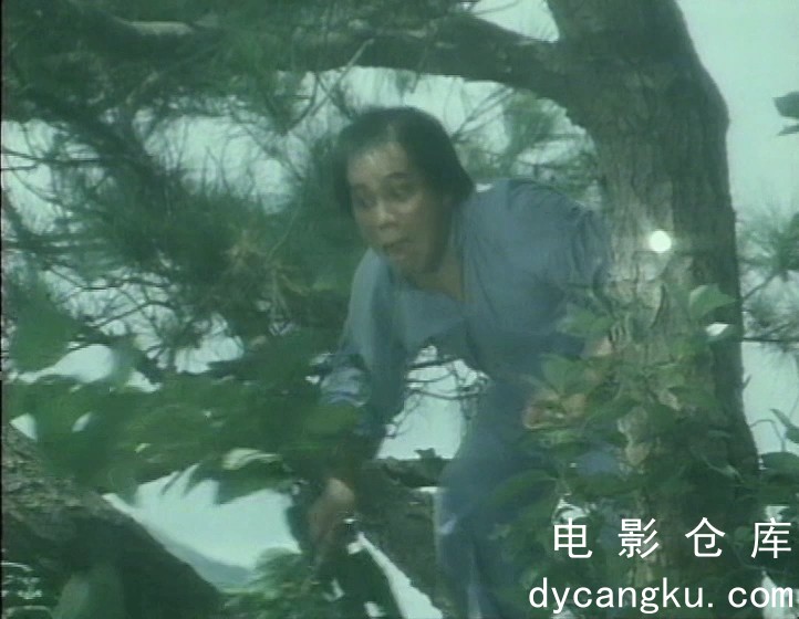 [电影仓库dycangku.com]大侠霍元甲1.mp4_snapshot_05.54.654.jpg