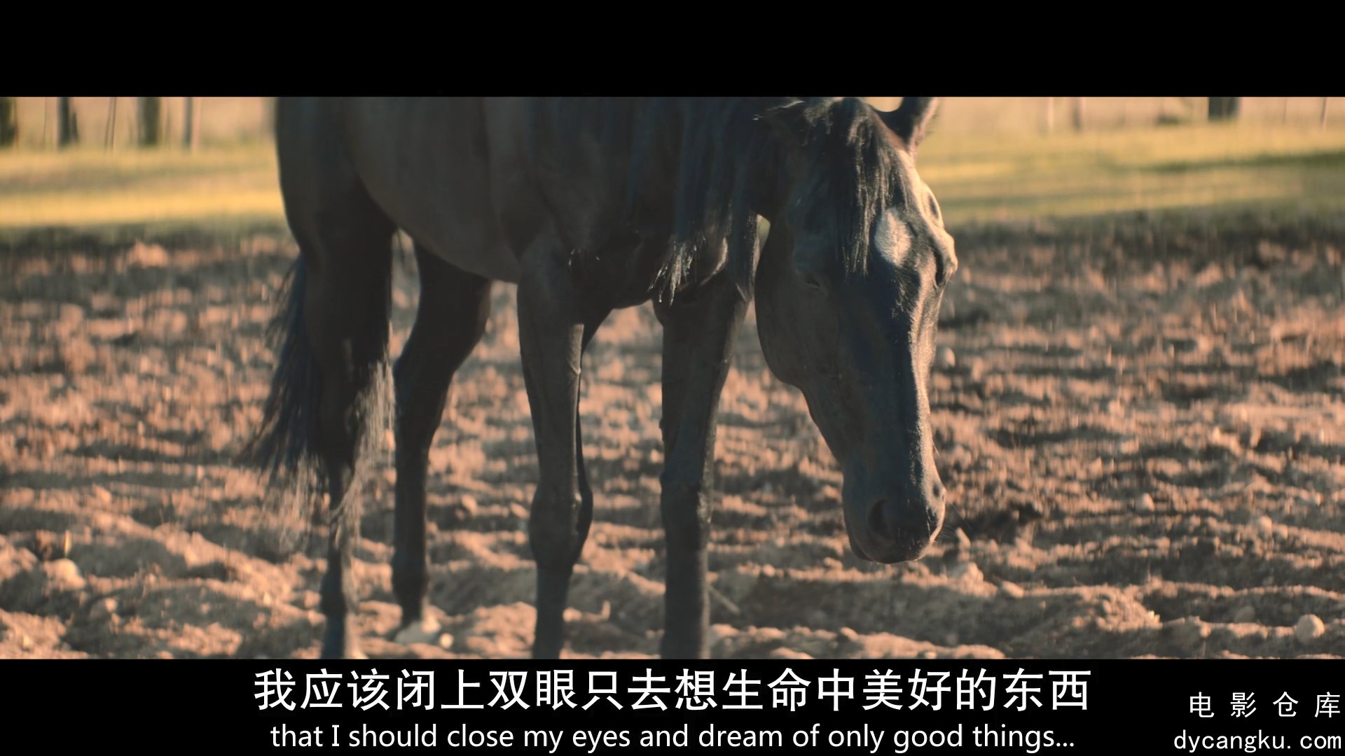 [电影仓库dycangku.com]黑神驹.1080p.BD中英双字.mp4_snapshot_01.20.56.642.jpg