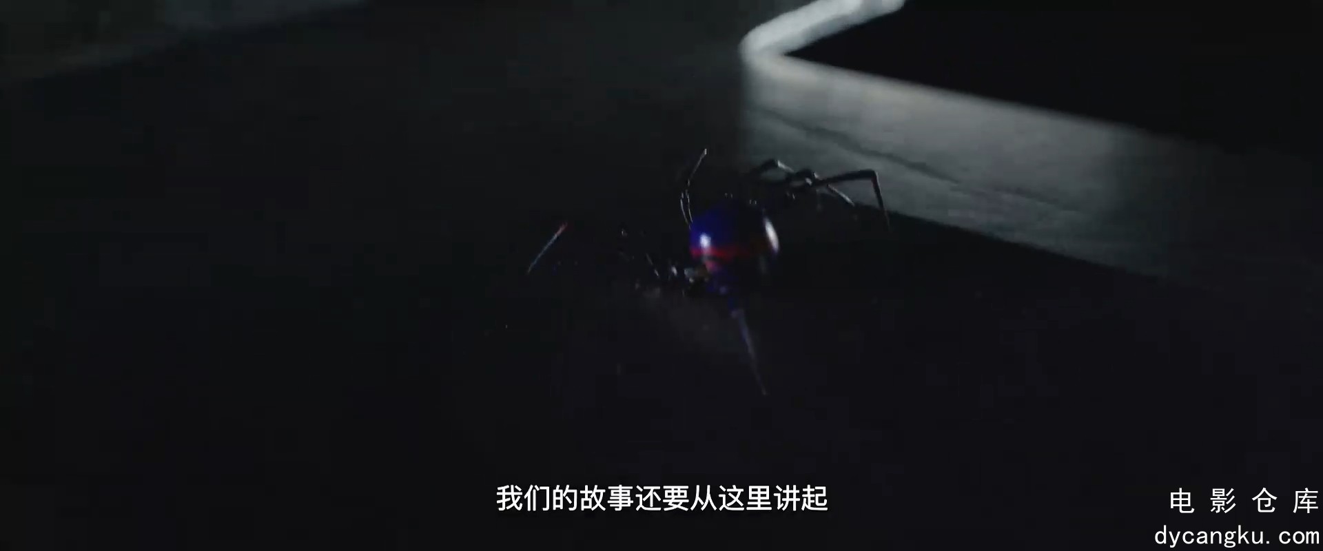 [电影仓库dycangku.com]龙雀卫之噬魂蛛.1080p.HD国语中字无水印.mp4_snapshot_00.02.16.755.jpg