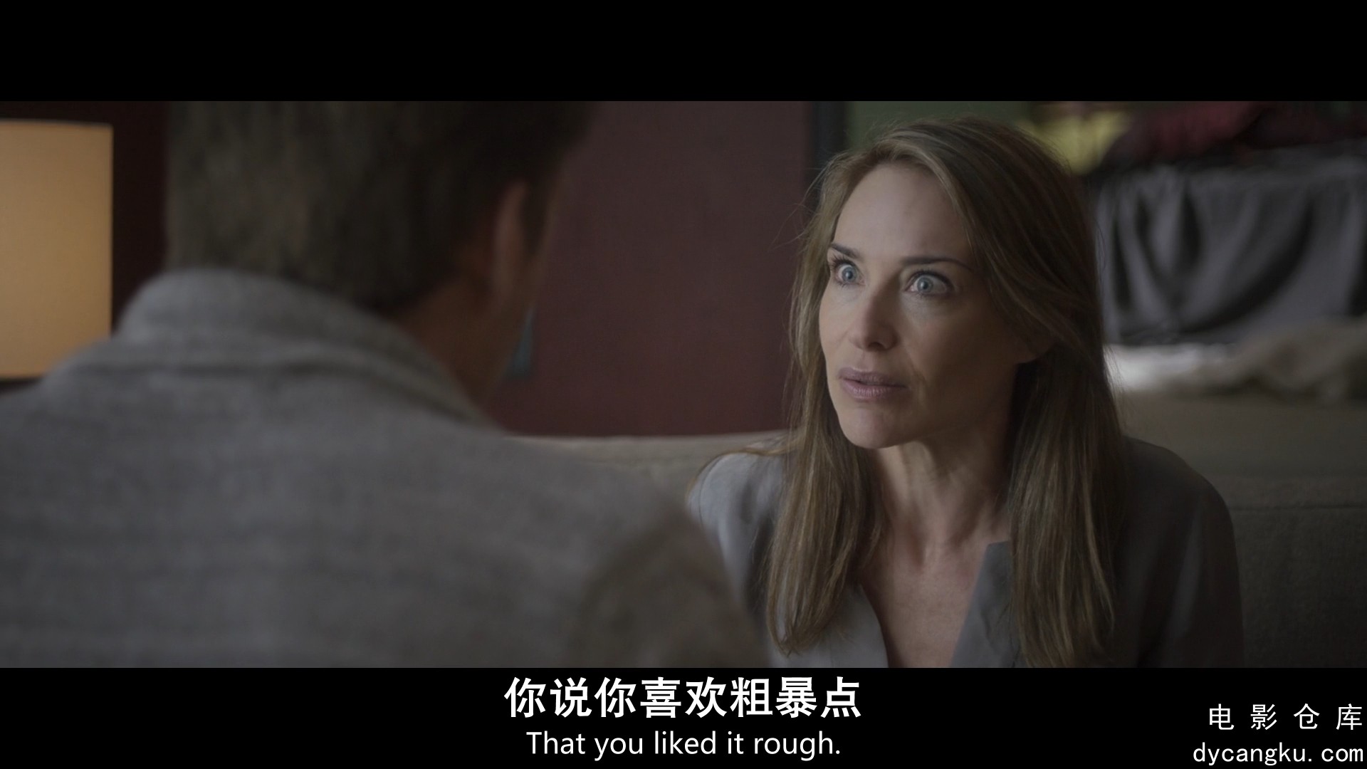 [电影仓库dycangku.com]致命出轨.An.Affair.to.Die.For.2019.HD1080P.X264.AAC.中英双.jpg