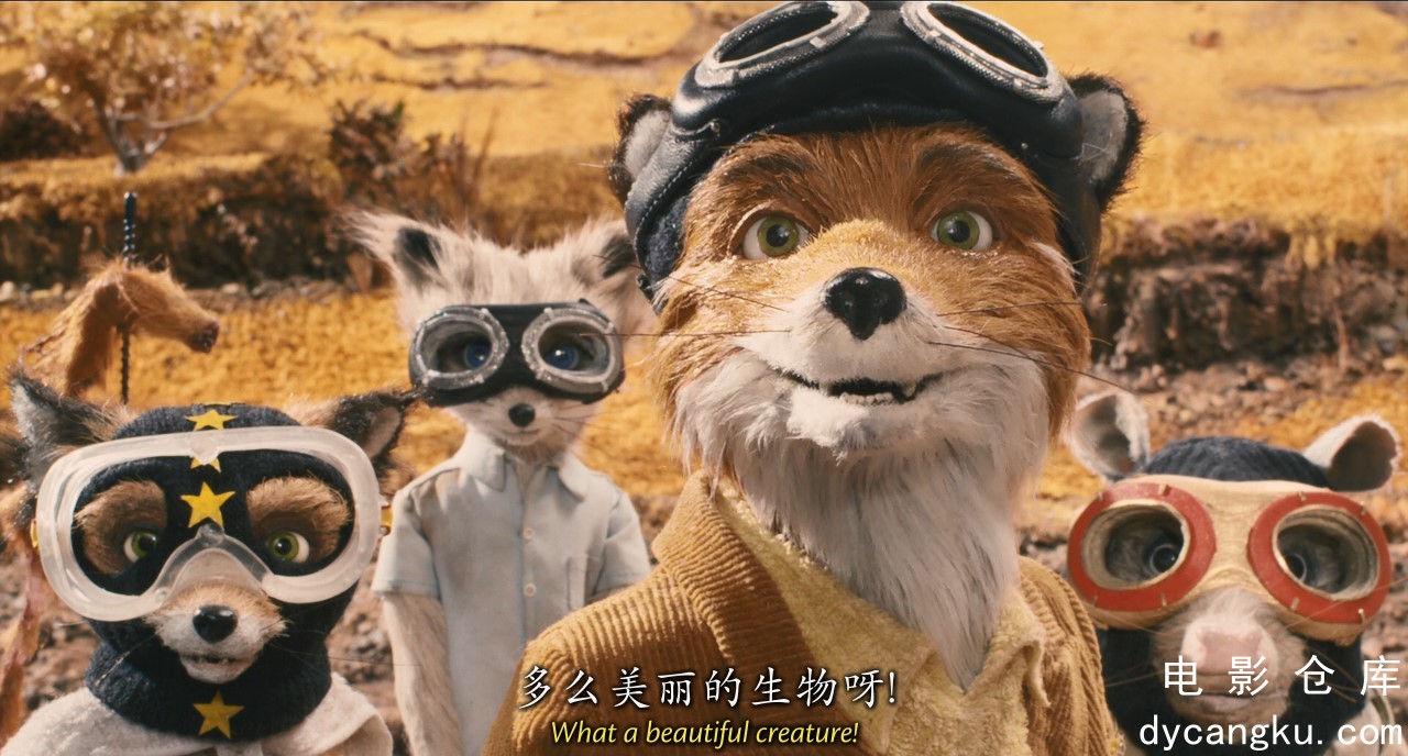 [电影仓库dycangku.com][了不起的狐狸爸爸].Fantastic.Mr.Fox.2009.BluRay.720p.x264..jpg