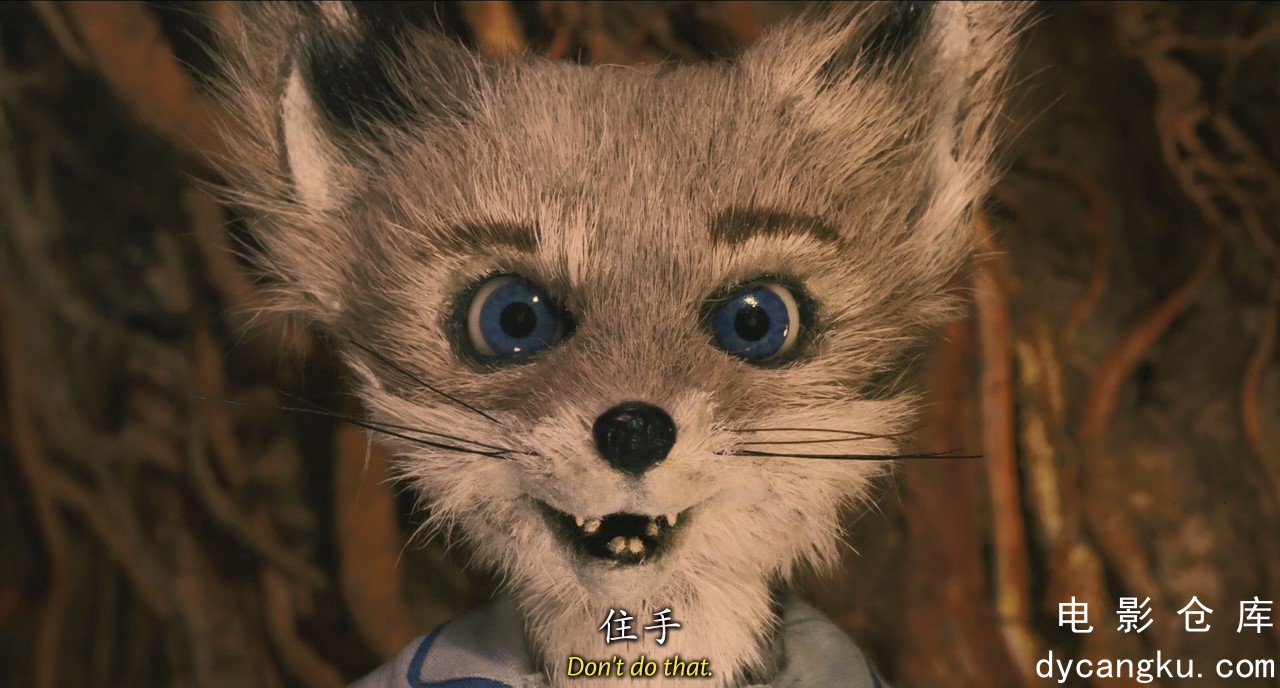 [电影仓库dycangku.com][了不起的狐狸爸爸].Fantastic.Mr.Fox.2009.BluRay.720p.x264..jpg