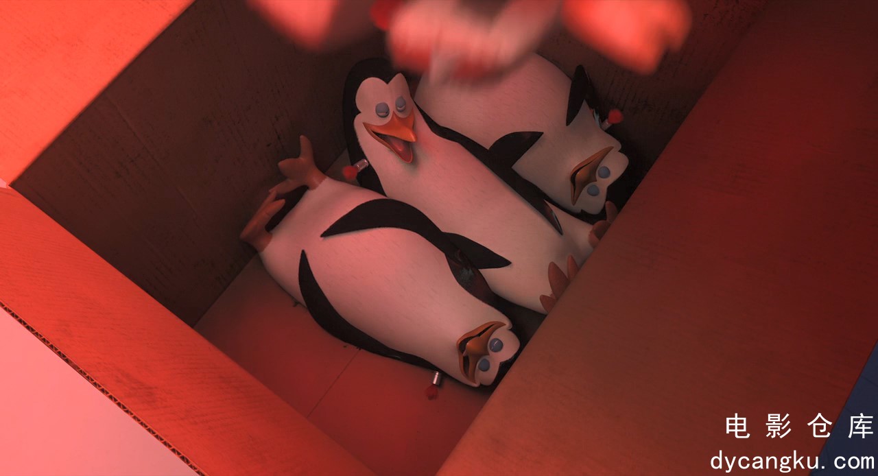 [电影仓库dycangku.com][马达加斯加的企鹅].Penguins.of.Madagascar.2014.BluRay.720p.jpg