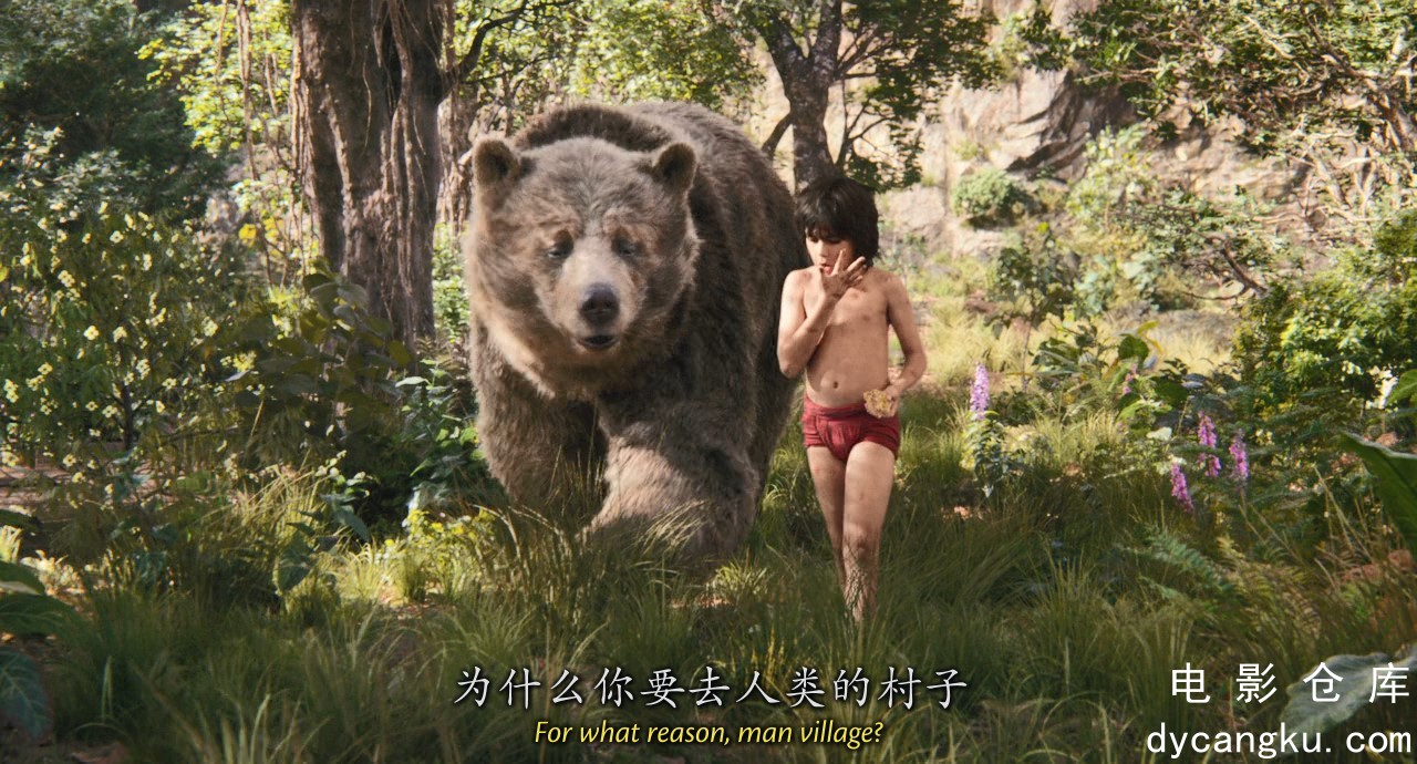 [电影仓库dycangku.com][奇幻森林].The.Jungle.Book.2016.BluRay.720p.x264.AC3.2Audi.jpg