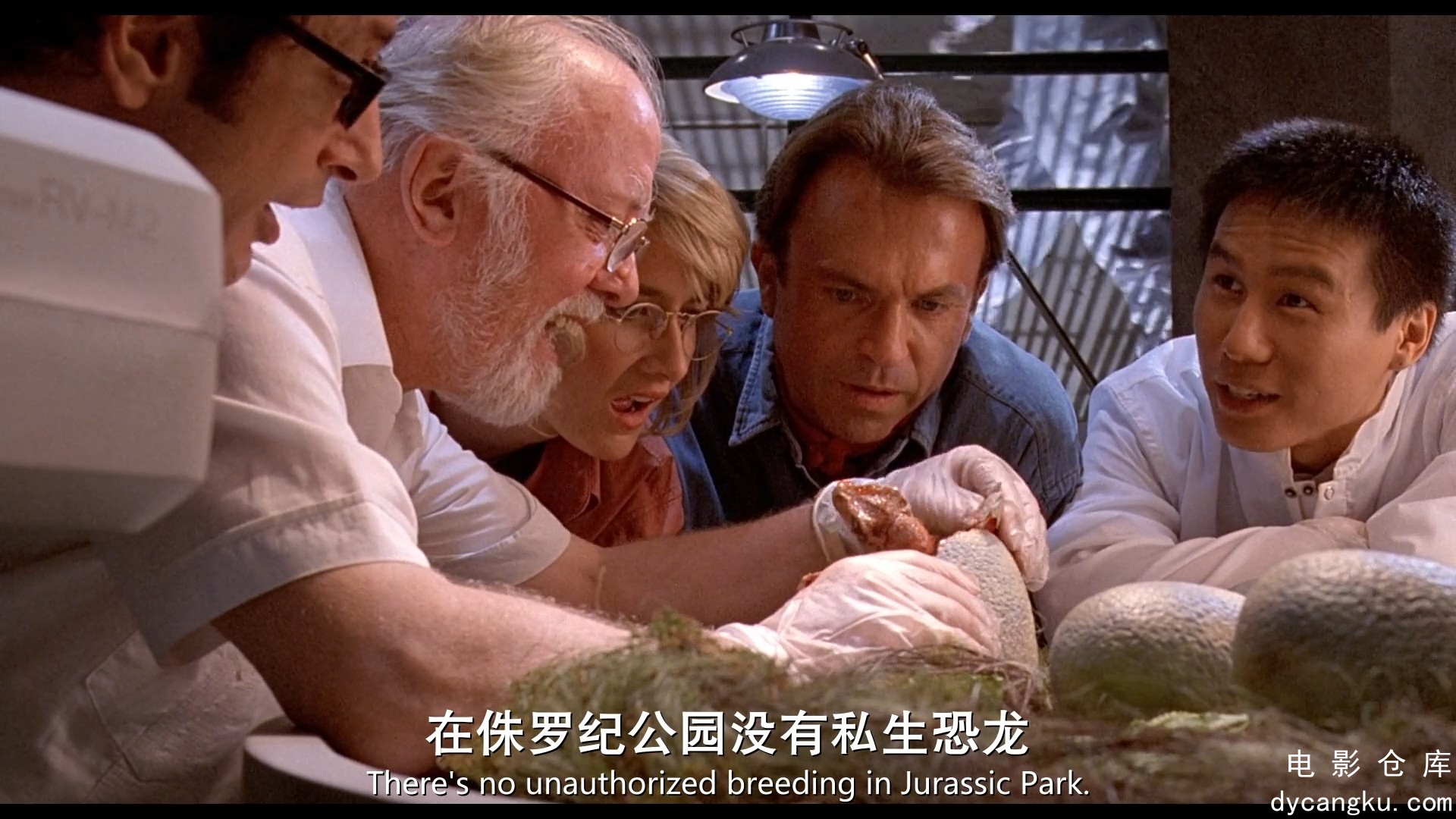 [电影仓库dycangku.com]侏罗纪公园1.Jurassic.Park.1993.BD1080P.国英双语.中英双字.m.jpg