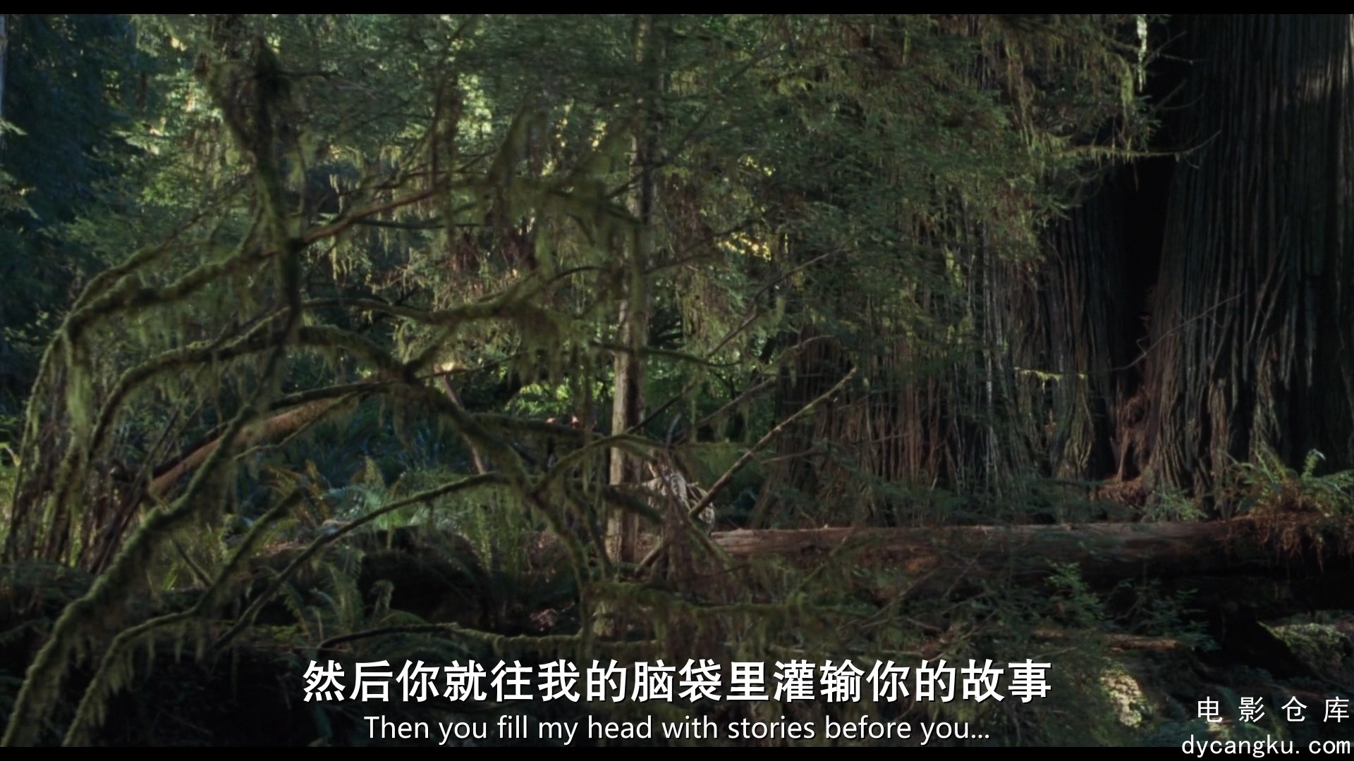 [电影仓库dycangku.com]侏罗纪公园2.The.Lost.World.Jurassic.Park.1997.BD1080P.国英.jpg