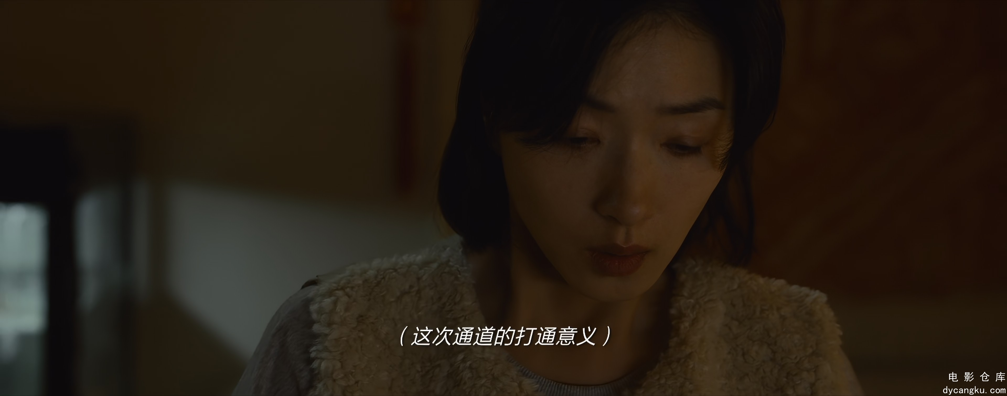 [电影仓库dycangku.com]万里归途.2022.60帧.4K.H265.AAC.mp4_snapshot_01.21.50.787.jpg