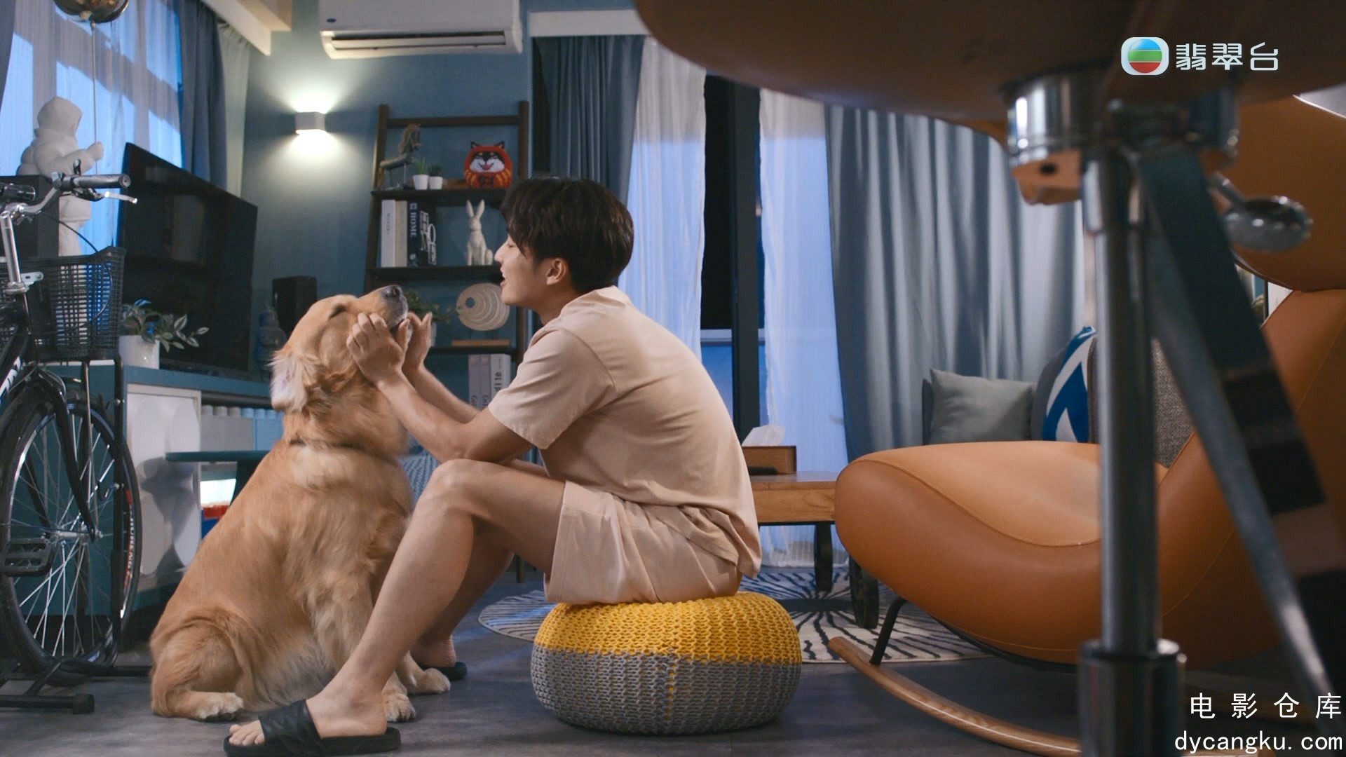 [电影仓库dycangku.com]宠爱Pet Pet Ep01 20230731 HDTV 1080i x264 2Audio-CHDHKTV.m.jpg