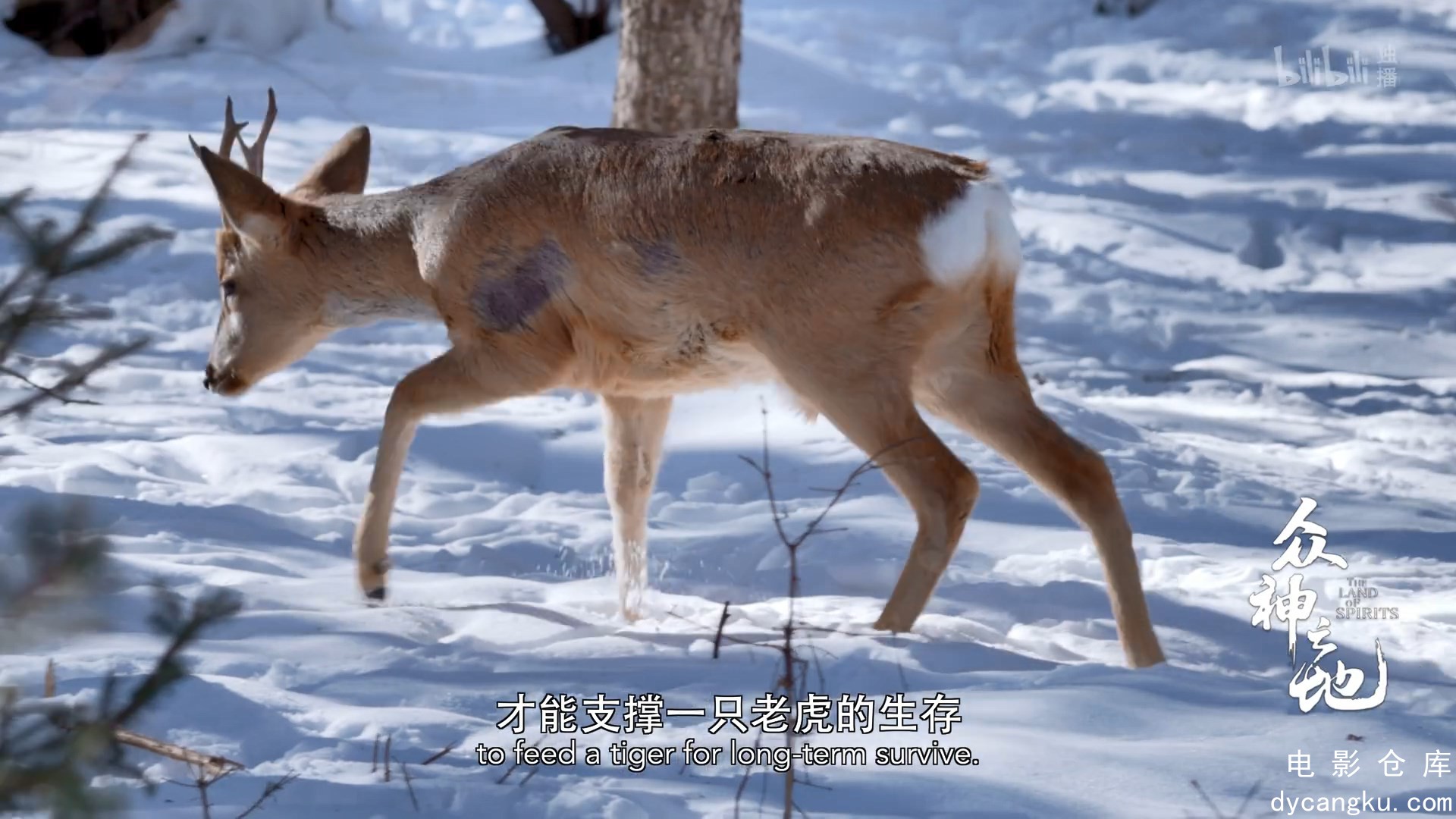 [电影仓库dycangku.com]众神之地.EP4.HD1080p.mp4_snapshot_25.59.992.jpg