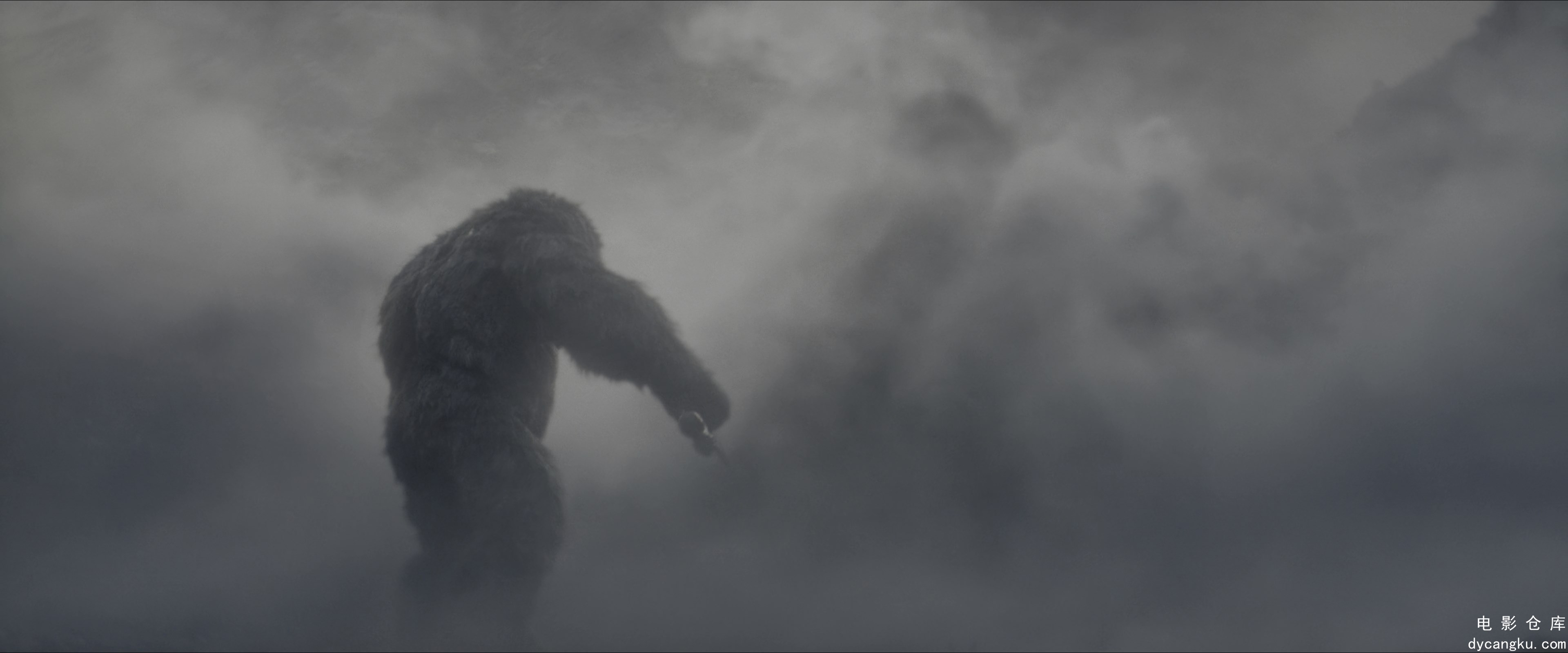 [电影仓库dycangku.com]Godzilla.x.Kong.The.New.Empire.2024.2160p.AMZN.WEB-DL.HDR1.jpg