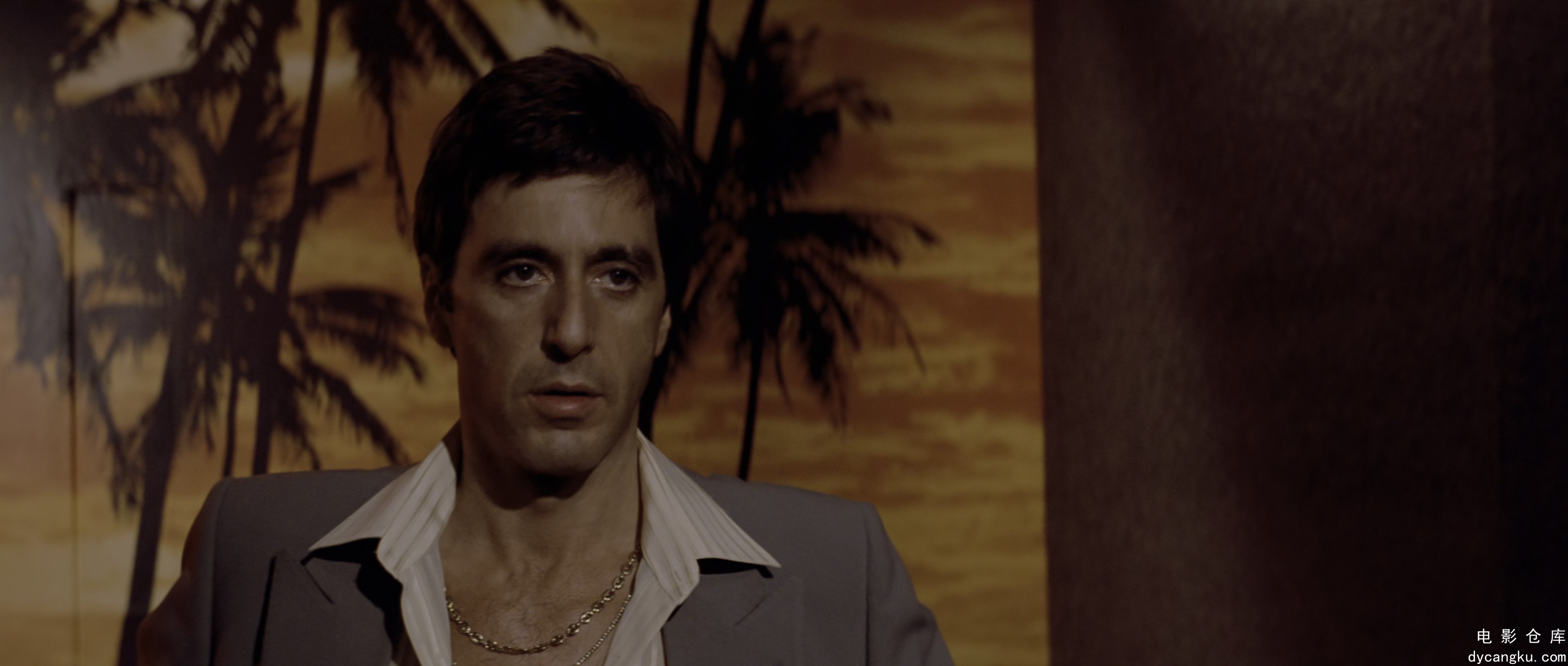 [电影仓库dycangku.com]Scarface.1983.UHD.BluRay.2160p.x265.HDR.DTS-X.mUHD-FRDS.mk.jpg