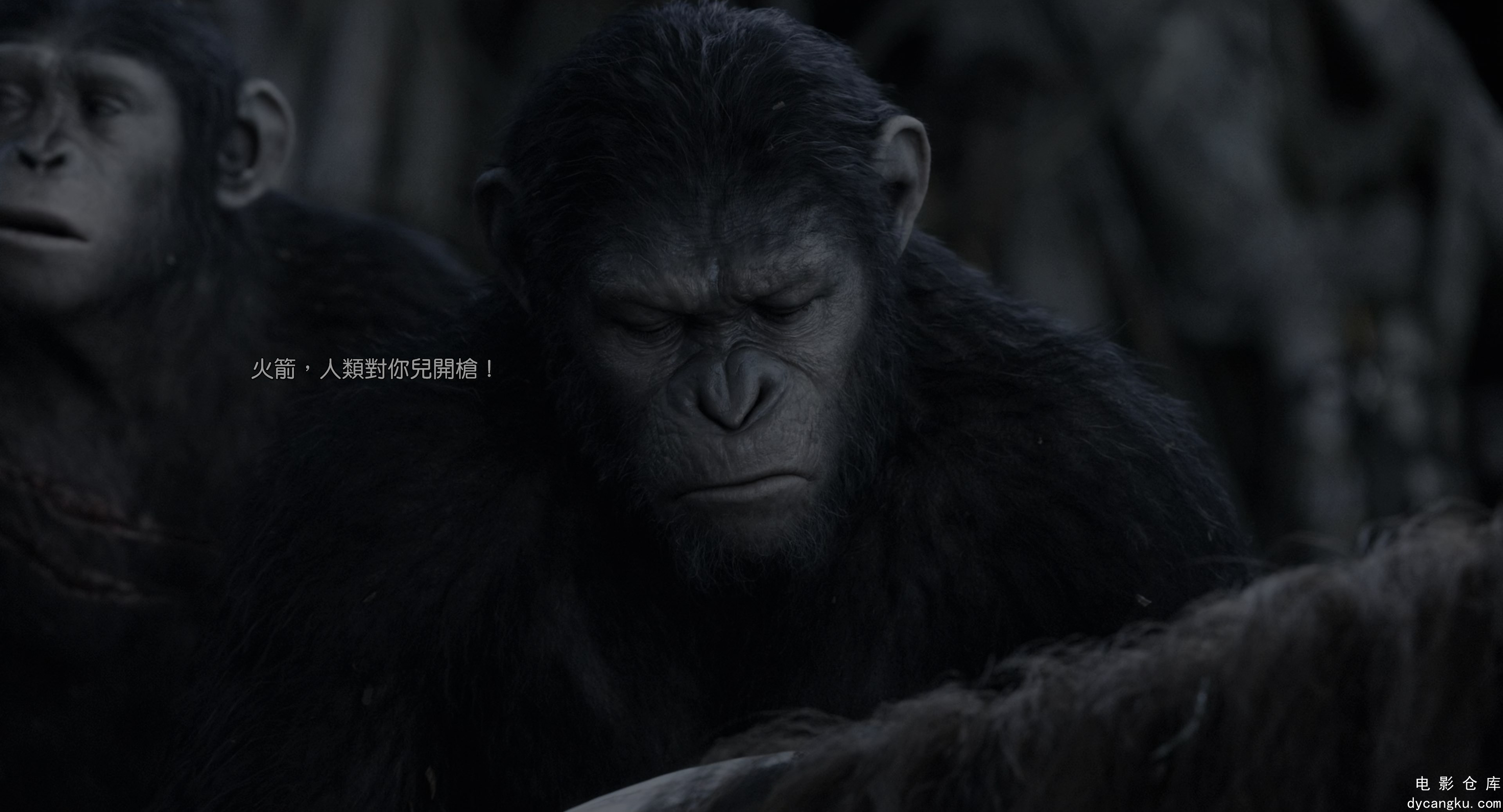 [电影仓库dycangku.com]Dawn.of.the.Planet.of.the.Apes.2014.2160p.UHD.BluRay.x265..jpg