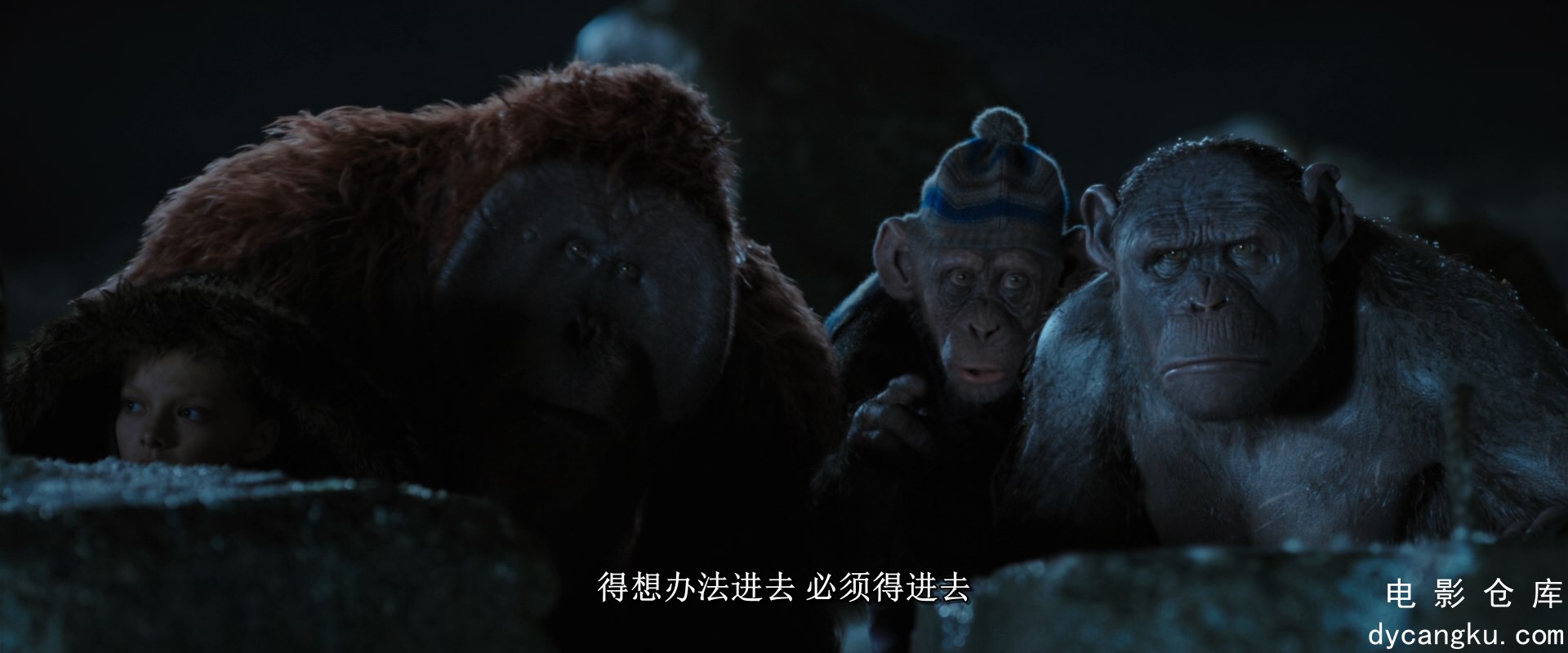 [电影仓库dycangku.com]War.for.the.Planet.of.the.Apes.2017.1080p.BluRay.DDP5.1.x2.jpg