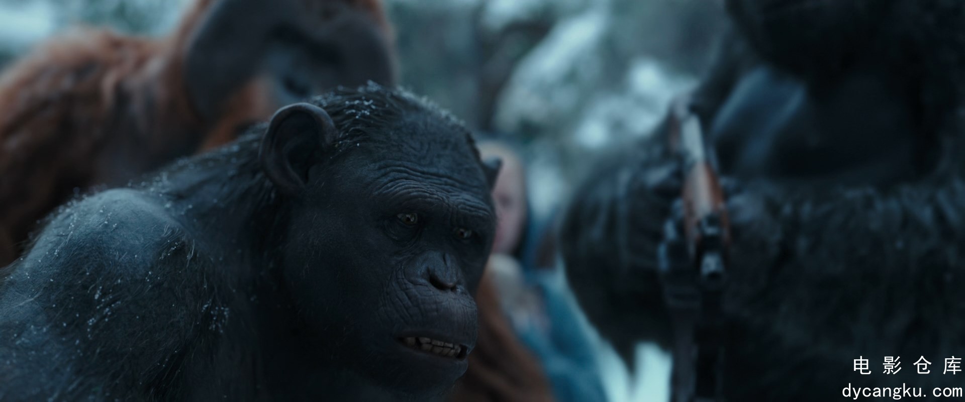 [电影仓库dycangku.com]War.for.the.Planet.of.the.Apes.2017.1080p.BluRay.DDP5.1.x2.jpg