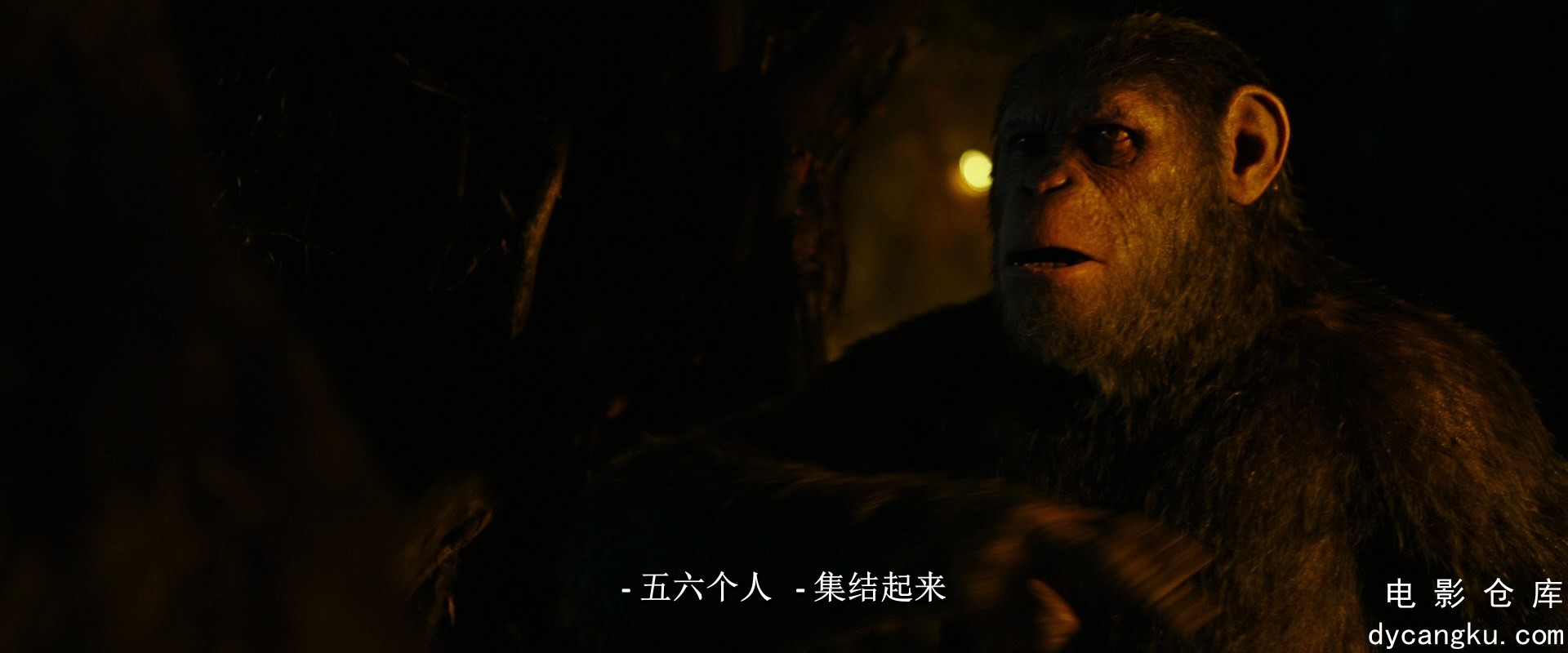 [电影仓库dycangku.com]War.for.the.Planet.of.the.Apes.2017.1080p.BluRay.DDP5.1.x2.jpg