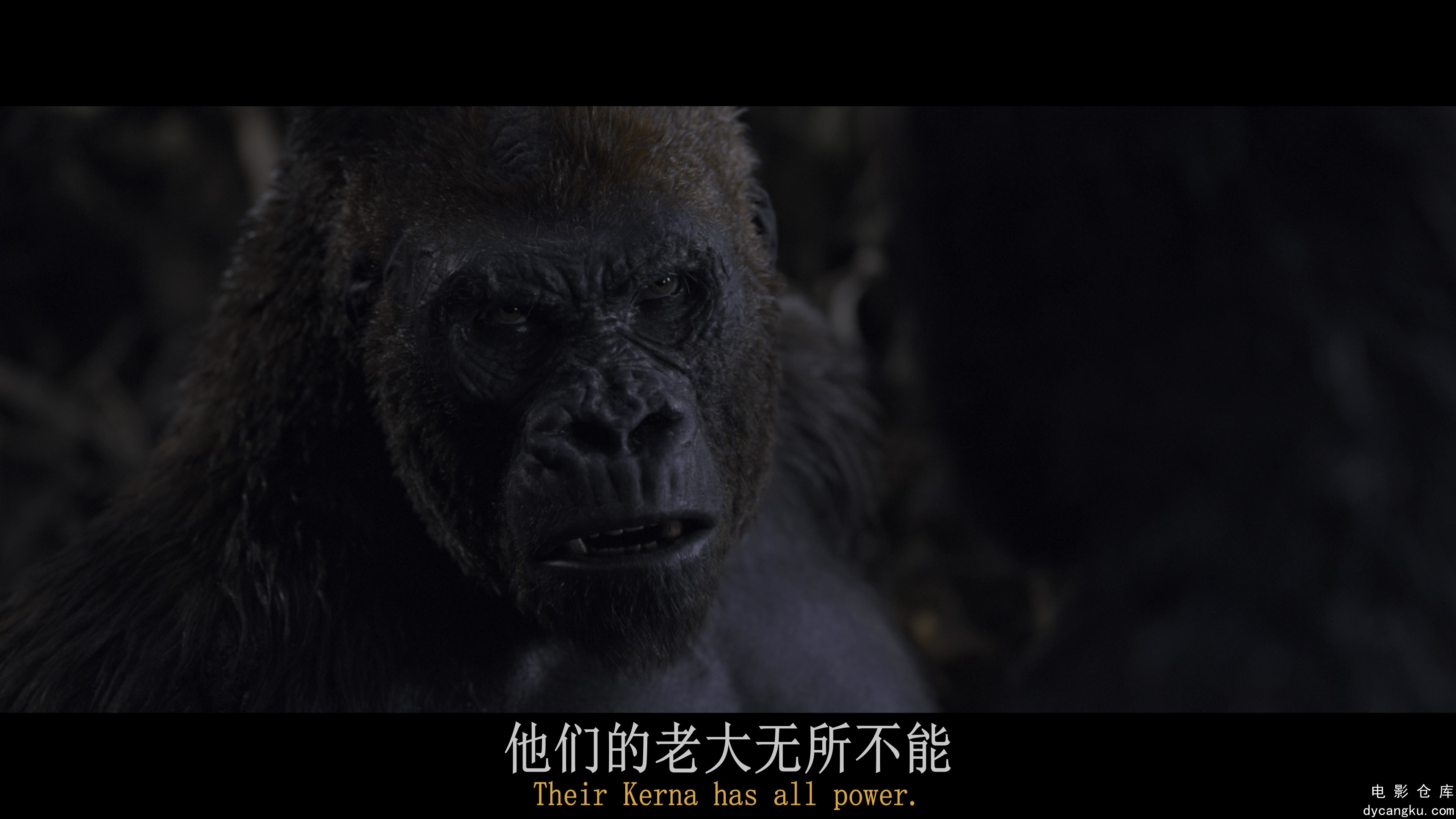 [电影仓库dycangku.com]War.For.The.Planet.Of.The.Apes.2017.2160p.BluRay.REMUX.HEV.jpg