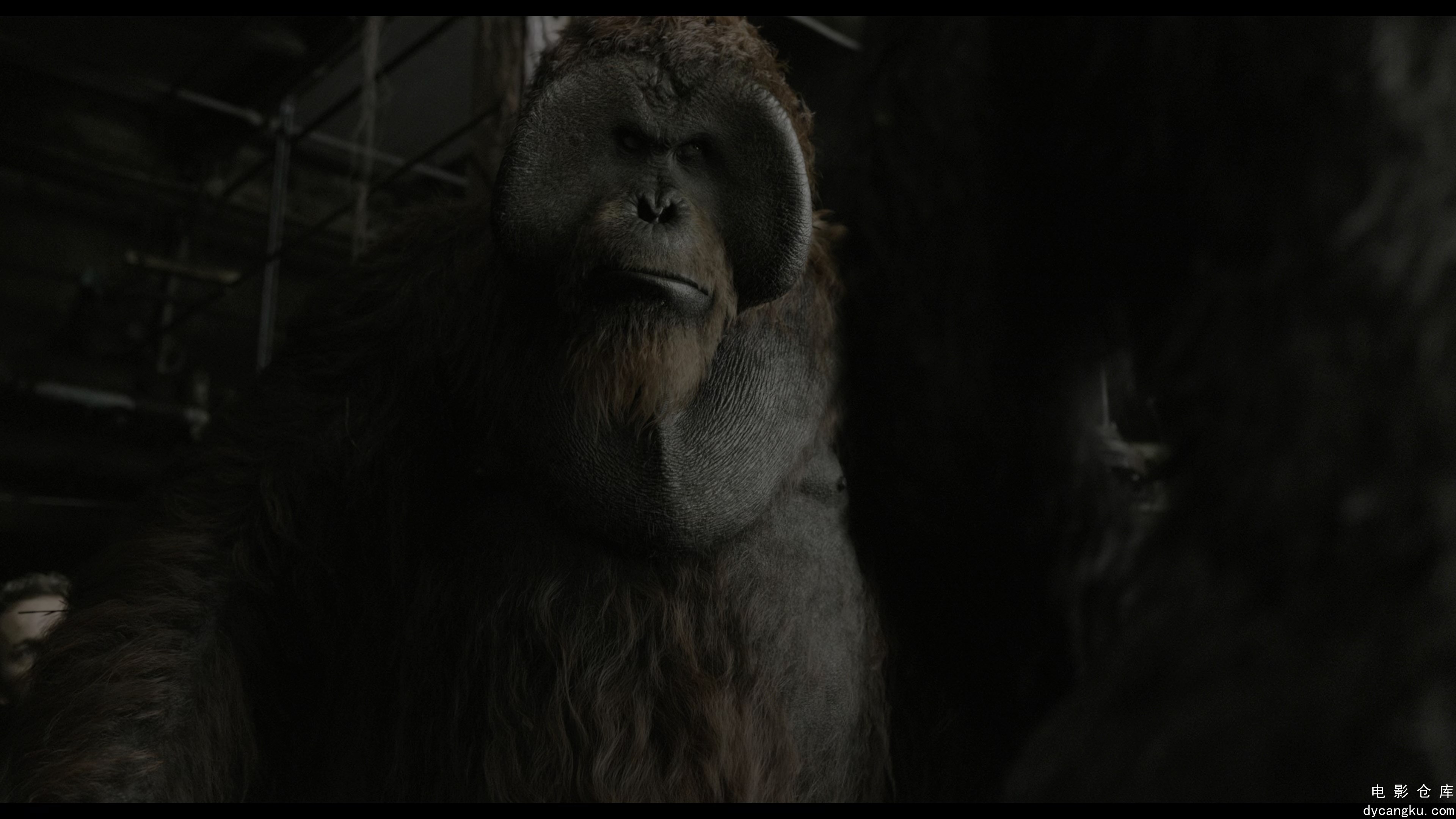 [电影仓库dycangku.com]Dawn.of.the.Planet.of.the.Apes.2014.2160p.BluRay.REMUX.HEV.jpg