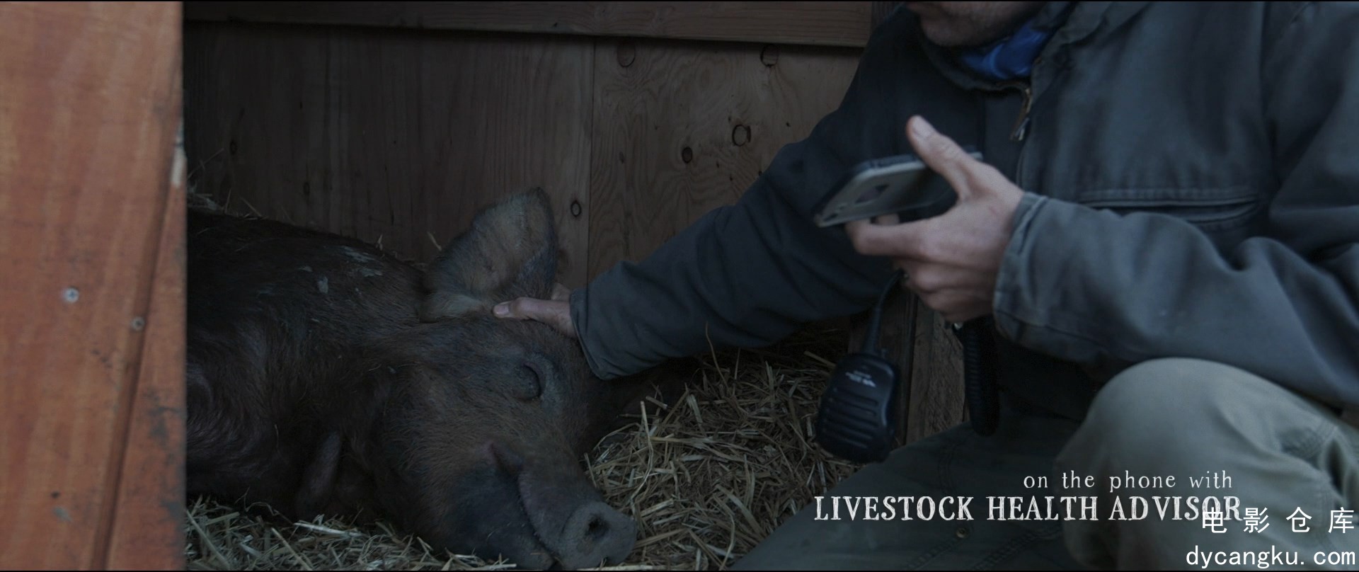 [电影仓库dycangku.com]The.Biggest.Little.Farm.2018.1080p.BluRay.x264.mkv_snapsho.jpg