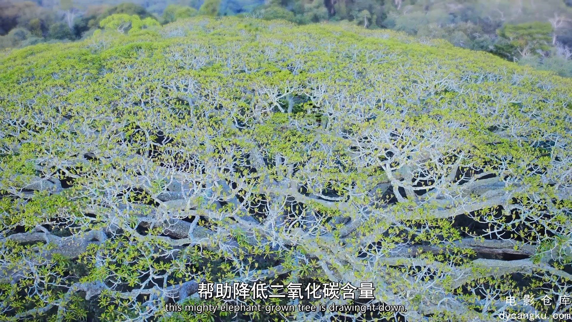 [电影仓库dycangku.com]我们的生物世界04.mp4_snapshot_24.20.014.jpg