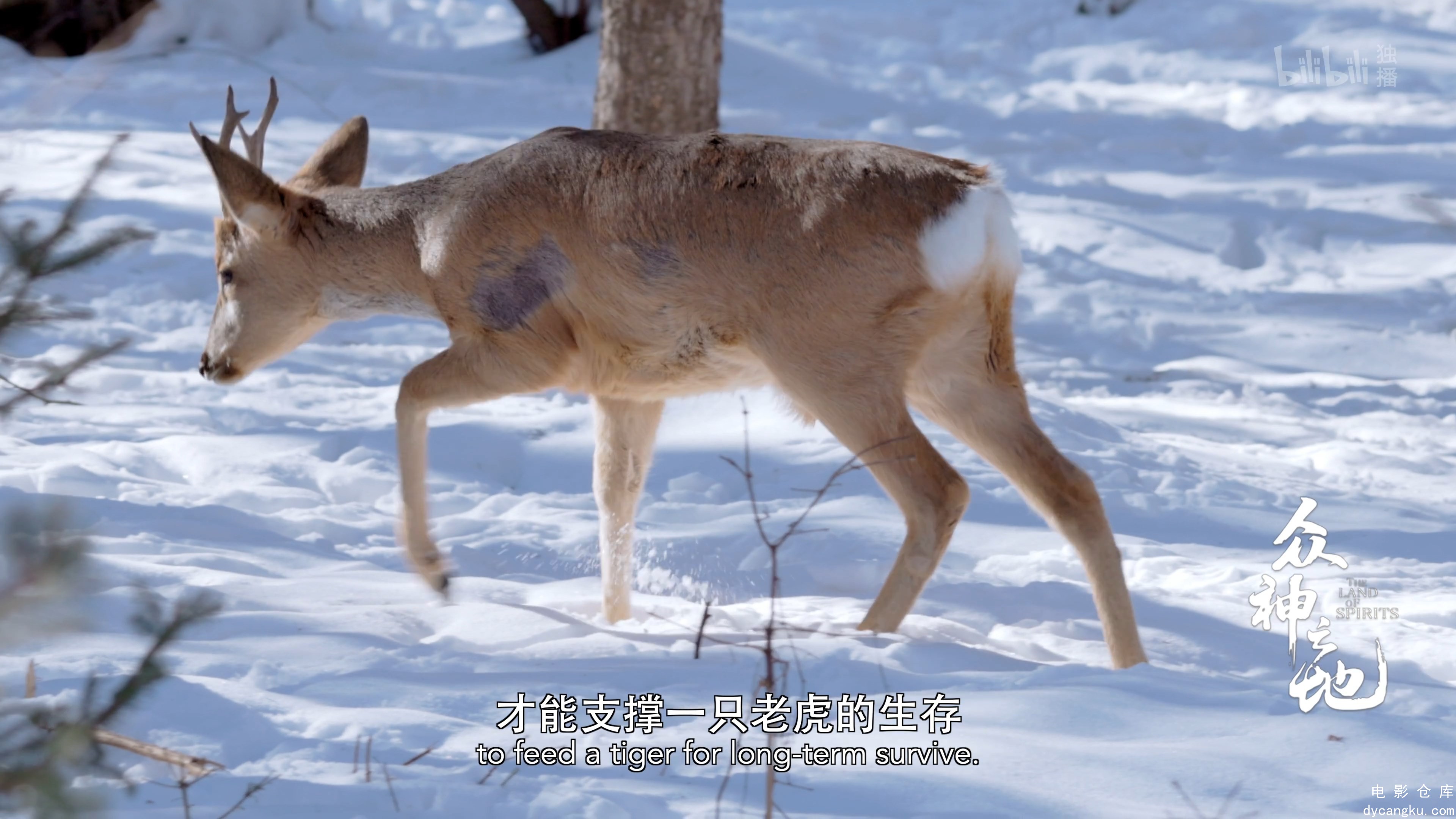 [电影仓库dycangku.com]众神之地.The.Land.of.Spirits.S01E04.2022.2160p.WEB-DL.H264.jpg