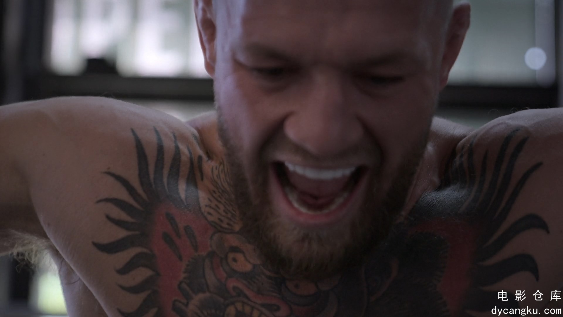 [电影仓库dycangku.com]McGregor.FOREVER.S01E04.Til.the.Day.I.Go.Out.1080p.NF.WEB-.jpg