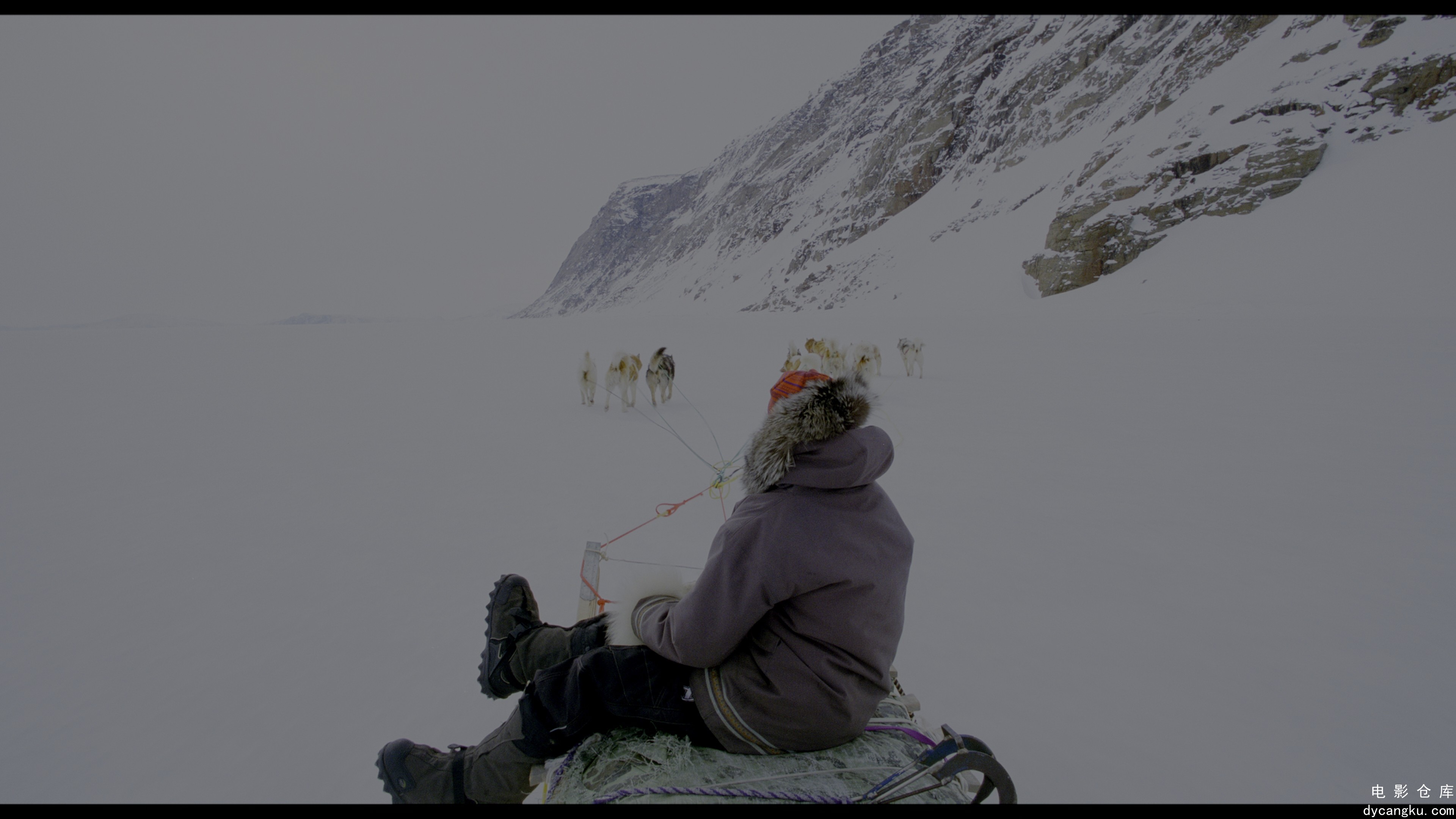 [电影仓库dycangku.com]Wonders.of.the.Arctic.2014.DOCU.2160p.BluRay.REMUX.HEVC.HD.jpg