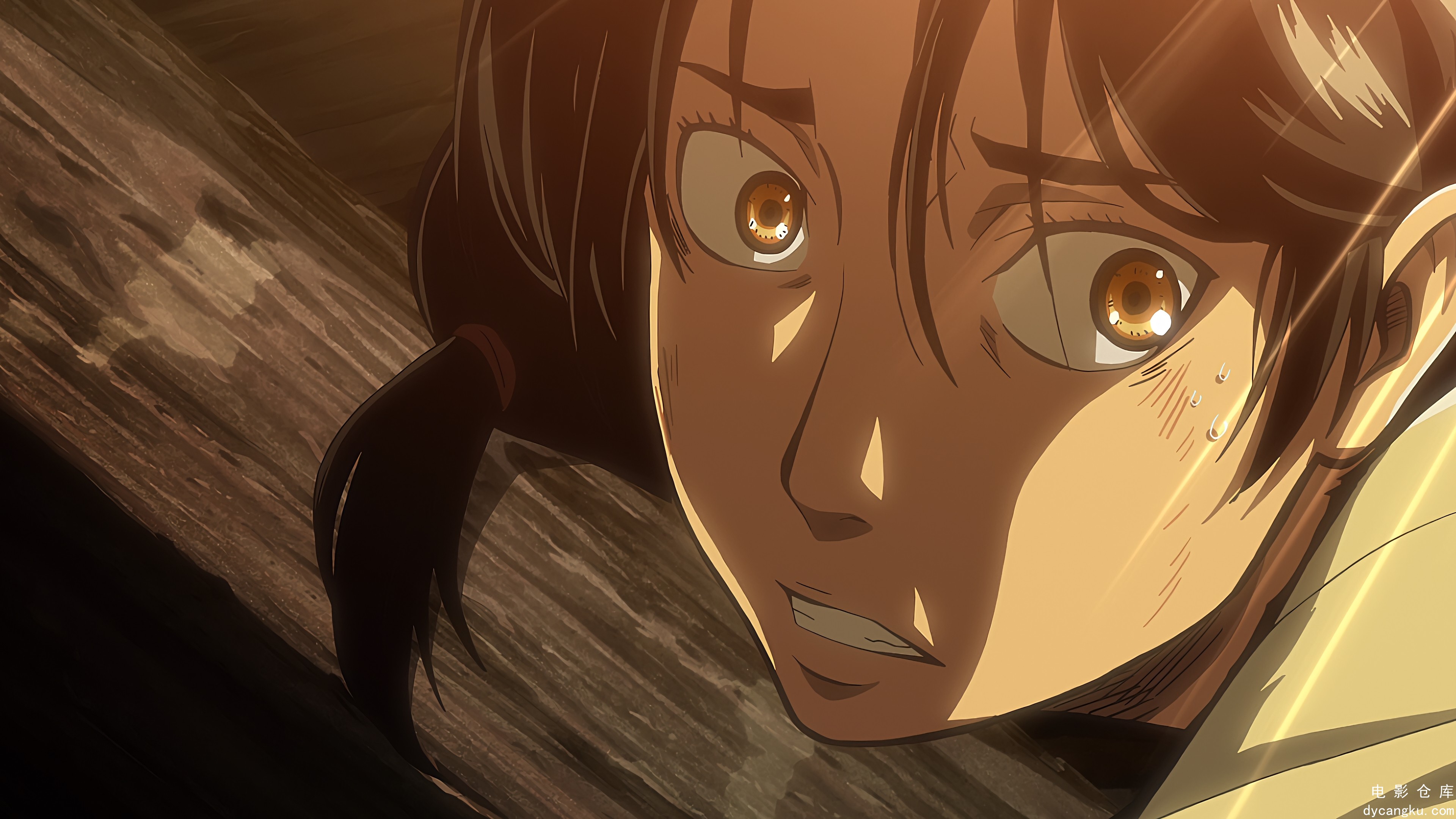 [电影仓库dycangku.com][Spade4K] Shingeki no Kyojin 01 (BD HEVC 3840x2160 yuv444p.jpg