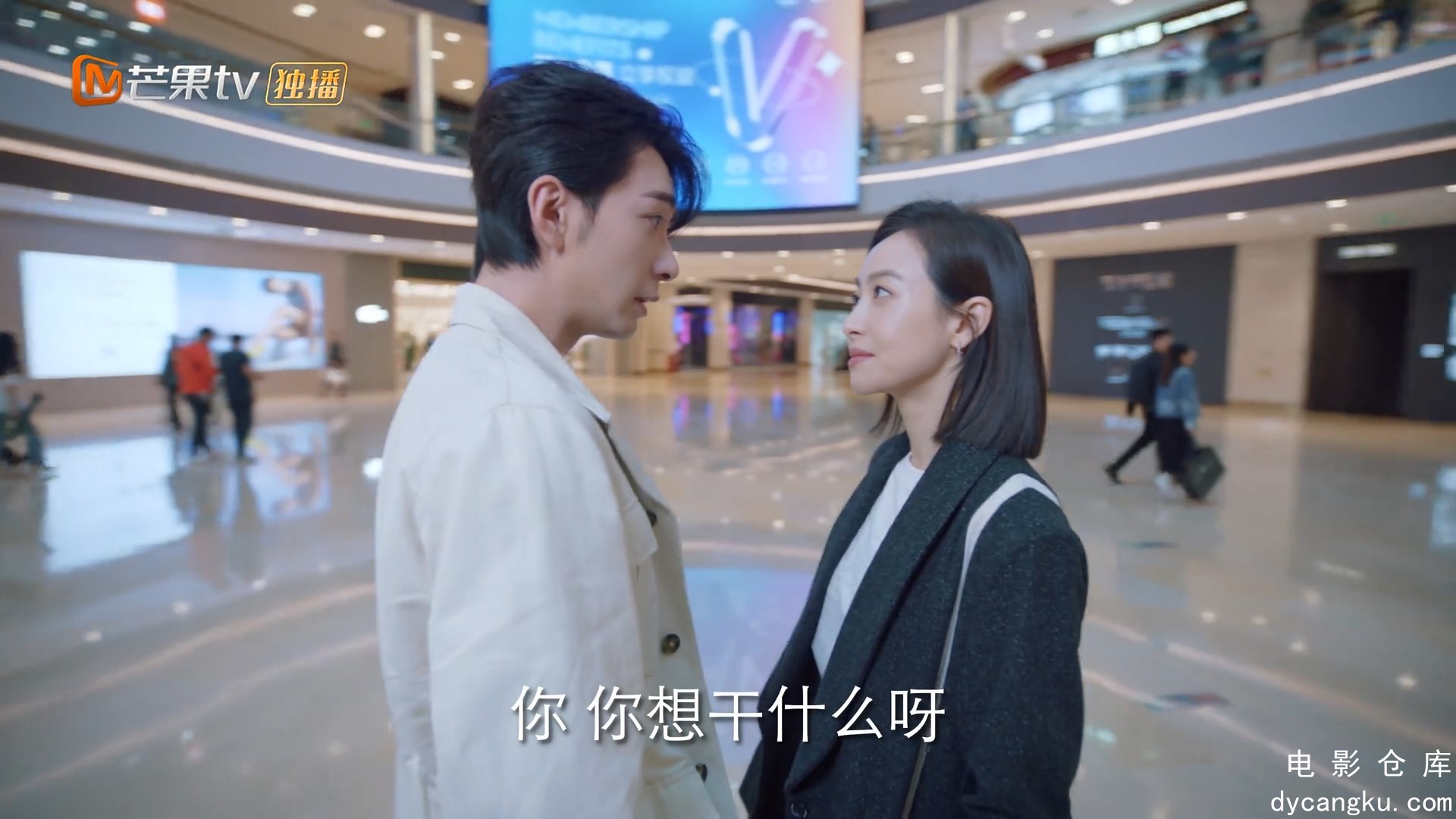 [电影仓库dycangku.com]我们的翻译官.2024.E19.1080p.HD国语中字无水印.mkv_snapshot_.jpg